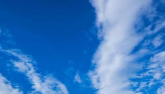 西城科技有限公司