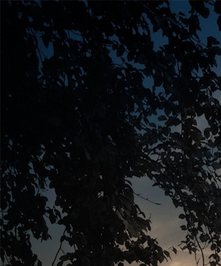 巴西世界杯音乐主题曲