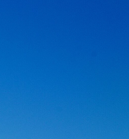 世界上浓度最高的酒是多少度