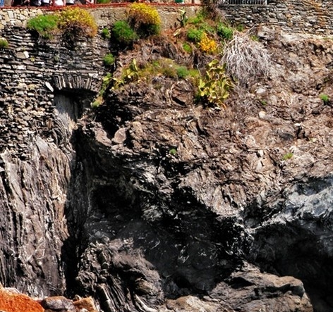 国家科技网的主要领域与服务内容