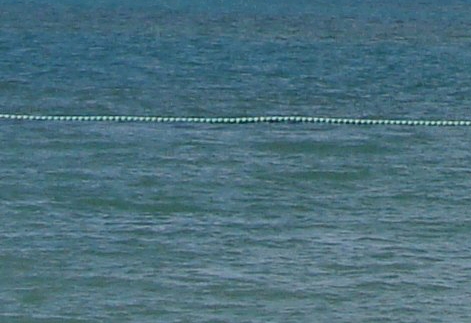 世界上没有偶然钱钟书