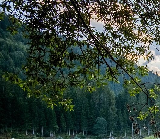 蓬莱海洋极地世界作文