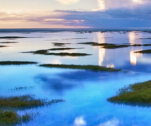 建设科技强国,我们应该怎么做?