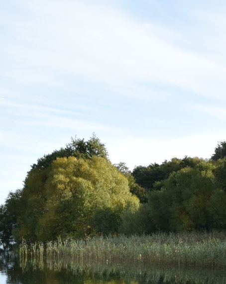 战舰世界巡洋舰推荐