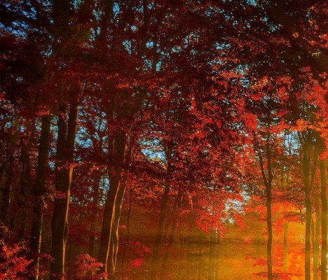 世界上第一台钢琴是谁发明的