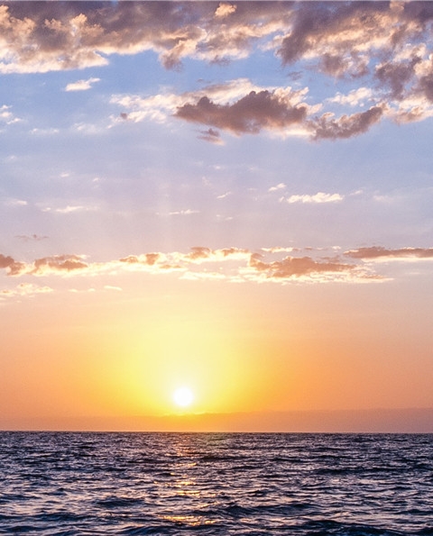 吸引人的创意手工编织名字