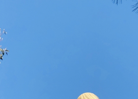 眼睛是心灵的窗户是谁说的?