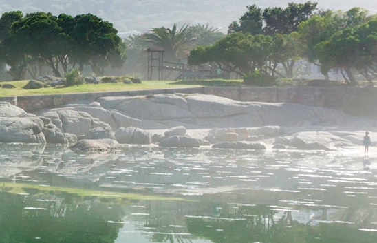 怪物猎人世界快速调查点数