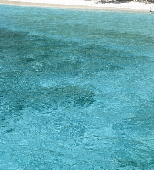 悲惨世界免费观看电影金刚狼