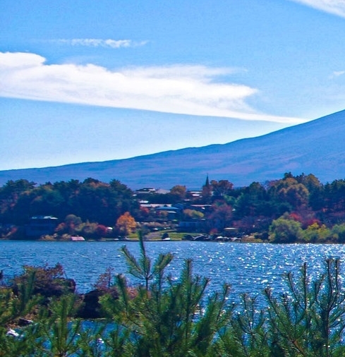 武汉科技大学校长倪红卫简介