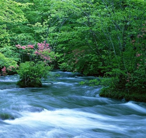 暖暖环游世界太平洋攻略