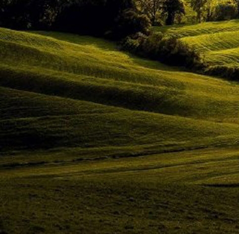 世界名车前二十名排行榜