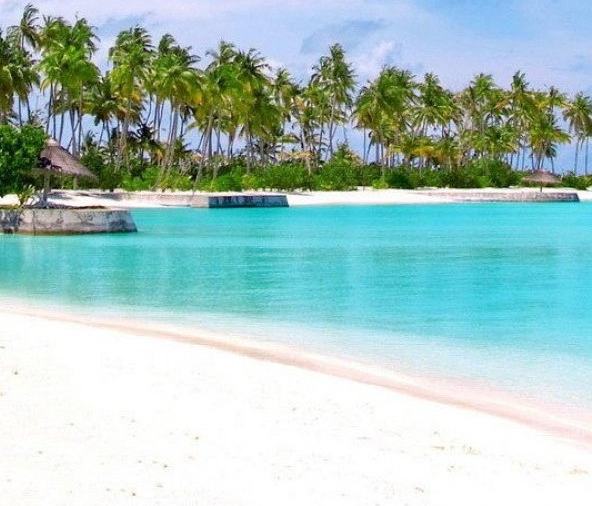 最贵动物排行榜前十名