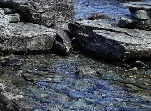 中国近现代大事年表