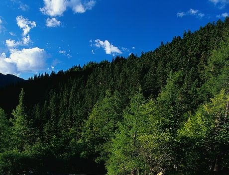 我的二次元领主之路