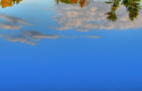 第一次世界大战史在线阅读