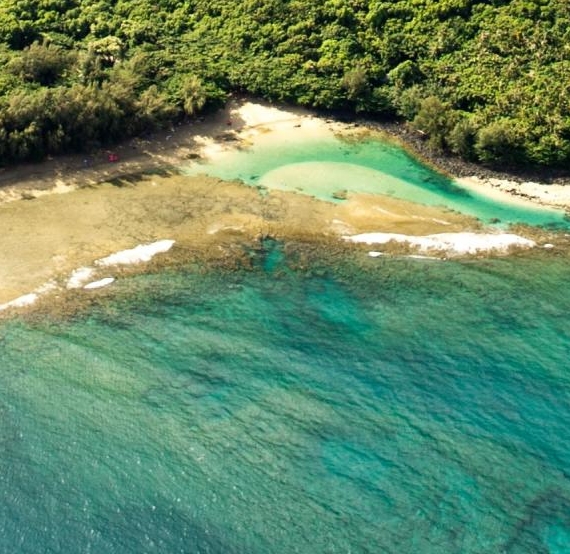 深圳湾科技生态园