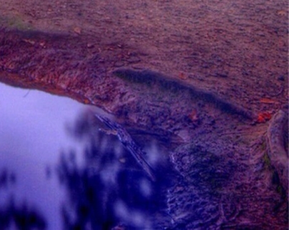 奢侈品服饰品牌排行