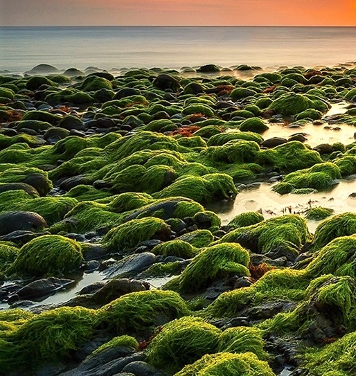 世界永远不死的4个人