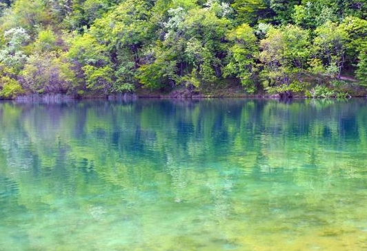 天明科技大厦:天明科技大厦与深圳湾科技生态园共建天明大厦的壮丽未来