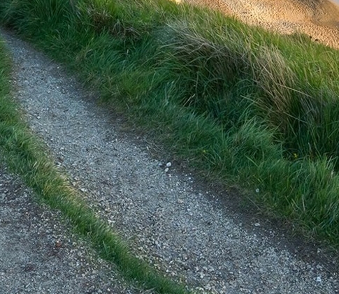 科技美容仪器需要什么专业的人才