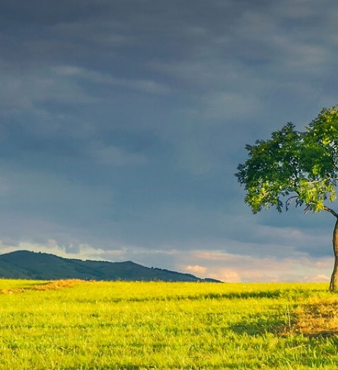 新新科技破解安卓16款