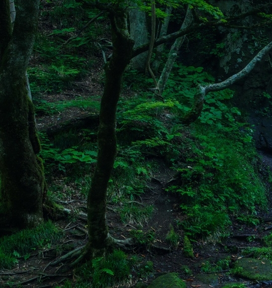 为了你与全世界为敌又如何台词