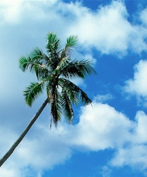 江苏智绿充电科技有限公司