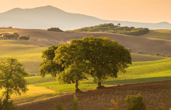 部落冲突内置修改器