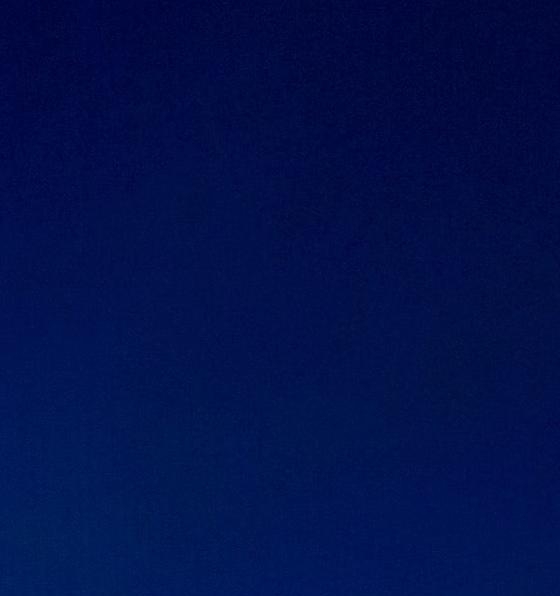 世界上最珍贵的动物排名