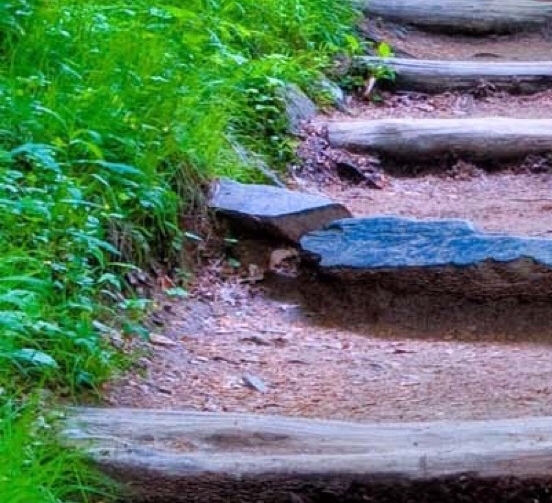 你曾经在我的世界里生活过