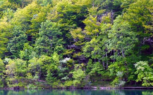 魔兽世界海加尔山之战