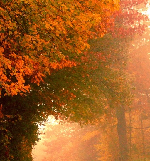 魔法存在的证据