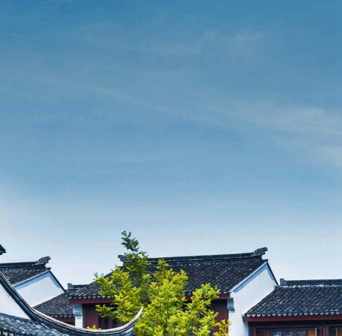 美国十大科技巨头