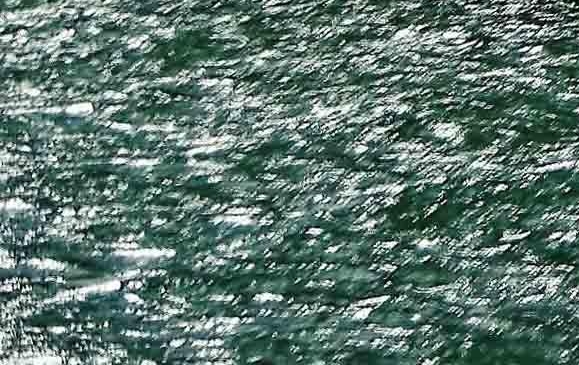 300566东方财富股吧