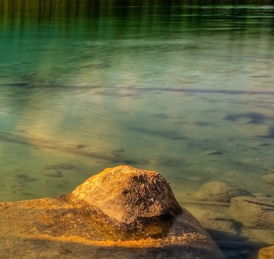 辽宁弘侨生物科技股份有限公司蛹虫草