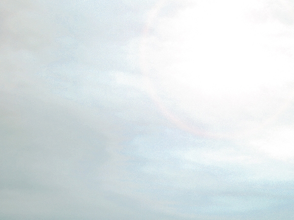 哈尔滨绿洲之星生物科技有限公司