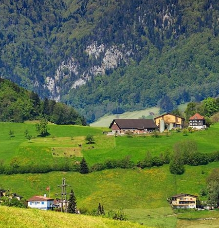 世界纪录800米男子