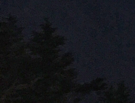 西班牙 世界杯