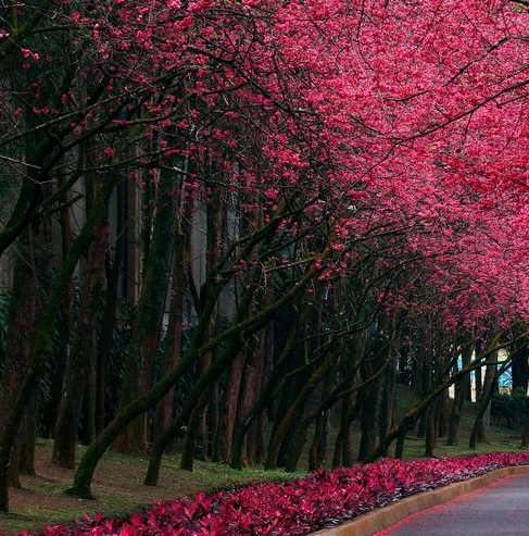 北大英华公司怎么样