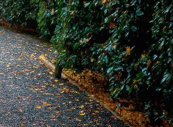 简述18项医疗质量核心制度