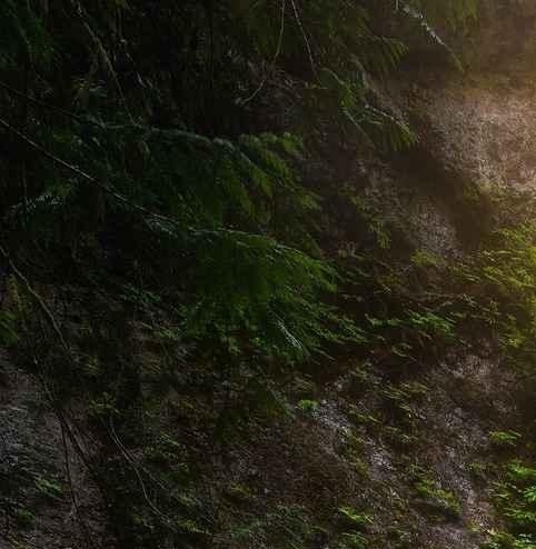 激智科技人工智能