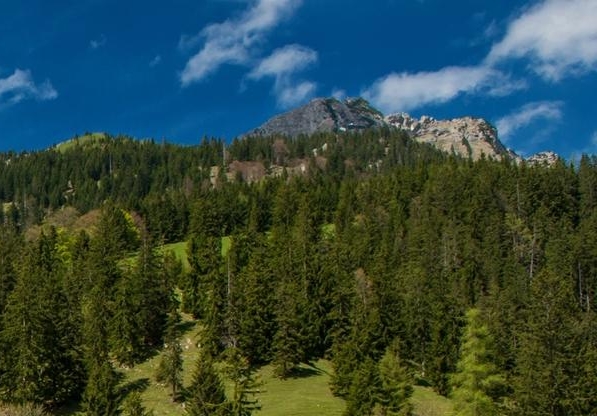 大年科技无人机