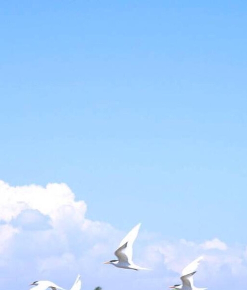 江西佳纳能源科技有限公司