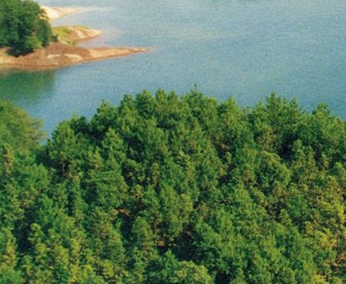 科技活动周工作总结