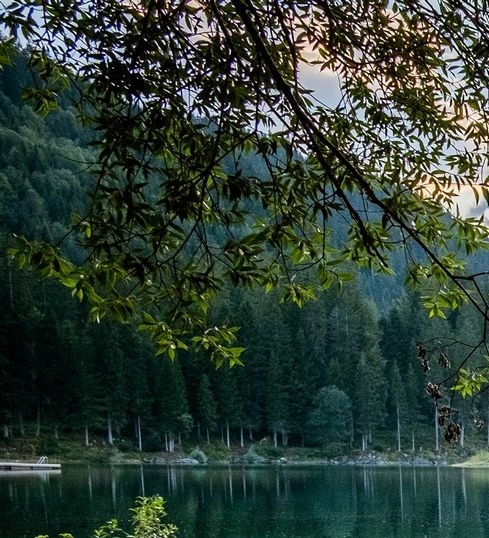 山东旭晨智能科技有限公司