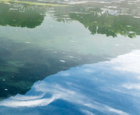 上汽大众500强排名