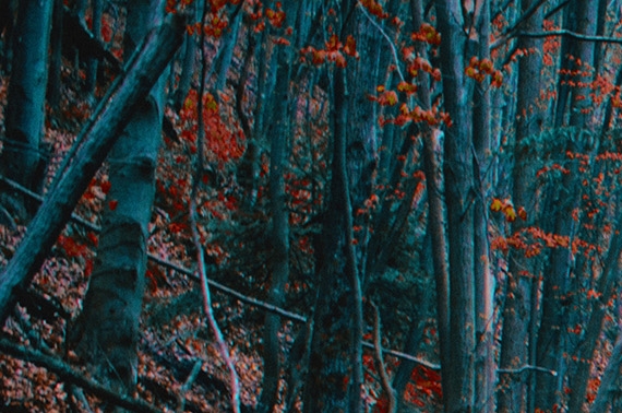 世界现代十大奇迹