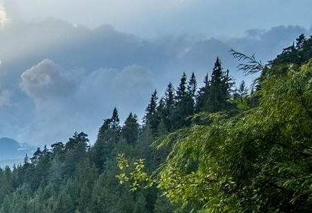 力辰科技怎么样