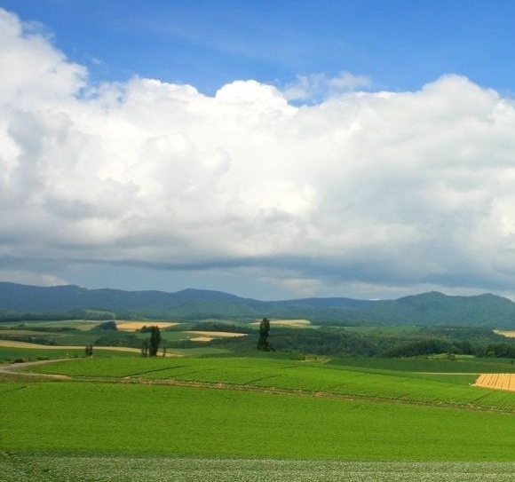 世界各国面积和人口排名表